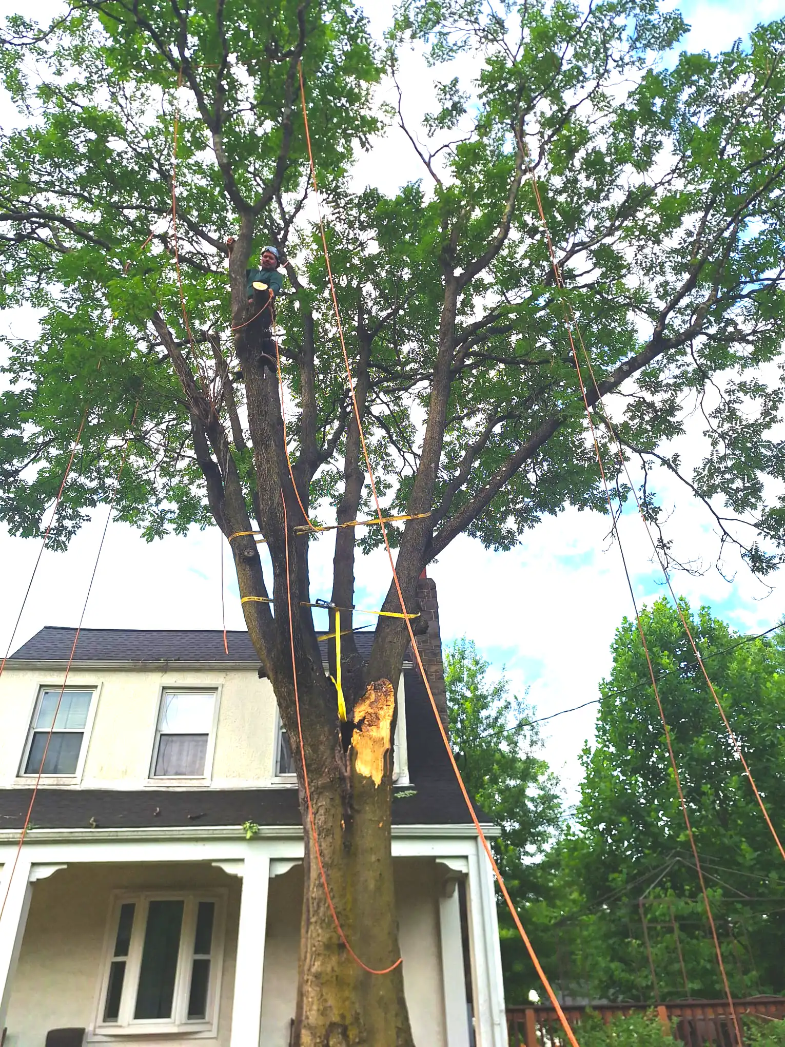 Edgar Tree Services Crew