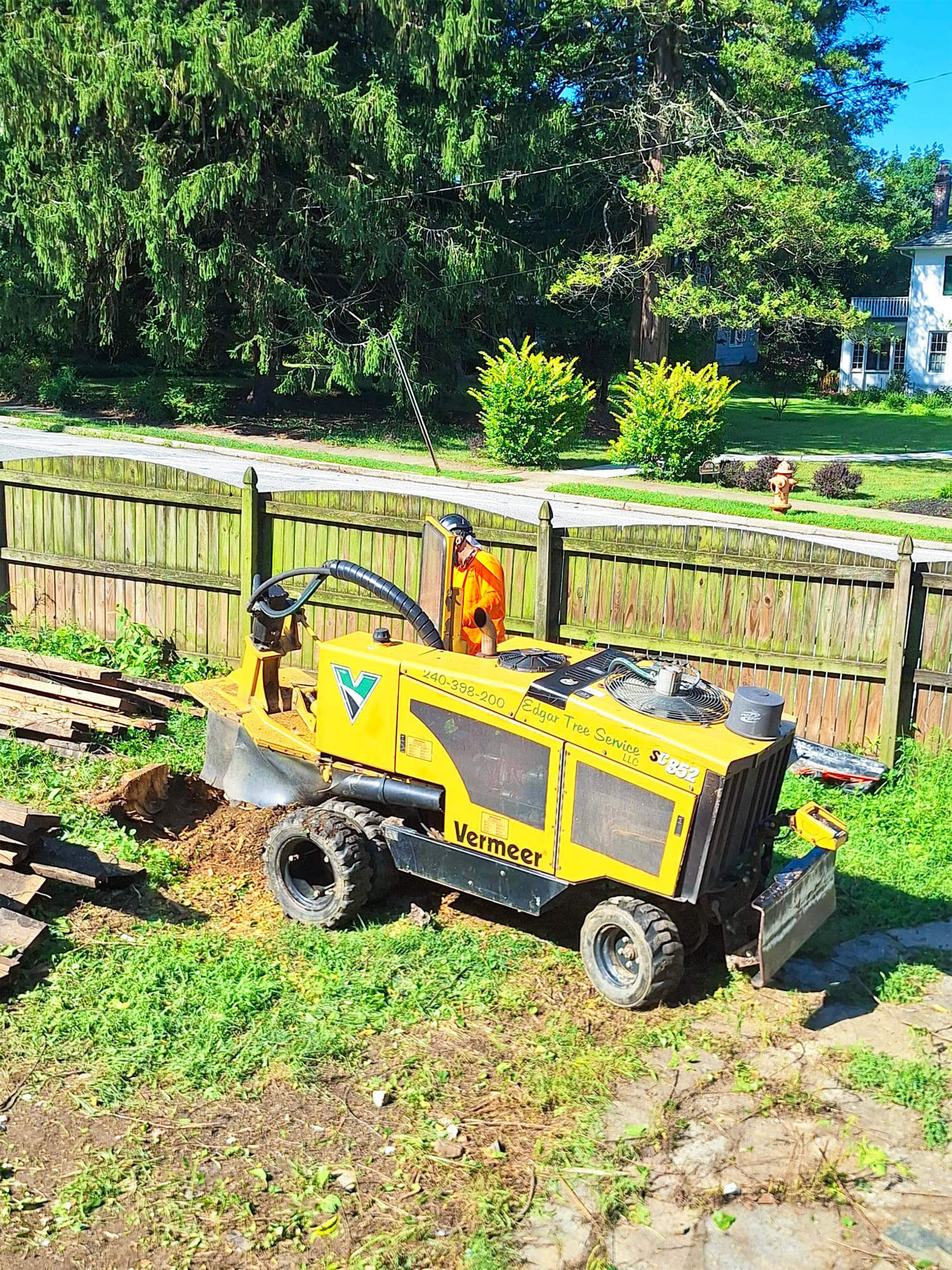 Recent tree service work